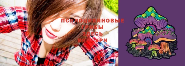 винт Алексеевка